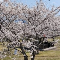 仕事は仕事