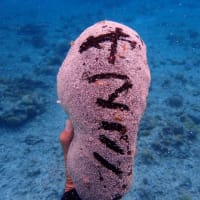 増永忠佳のブログ