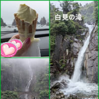 🚙和歌山に行って来ました 