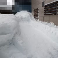 自宅裏屋根からの落雪の除雪