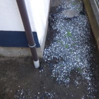漏水修理です。