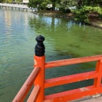 有田　福岡へ。。。パートツー