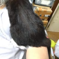 雨のせいにする