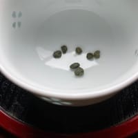 柔らかい芽先