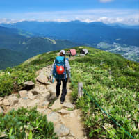 五竜唐松縦走⛰️夏の唐松岳2024.8.1