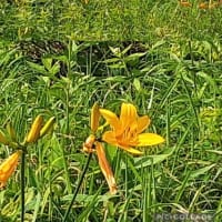 ☆やった～～～！！大物！98センチだもん！！！（笑）☆