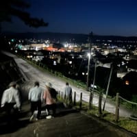 やんごとなき一日。