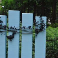 香りのハーブガーデン　ラベンダーがたくさん咲いています　　　12