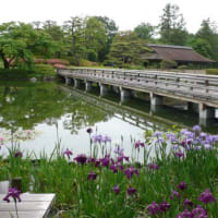 そろそろ寝具を夏仕様に（　＆　老人とニャン　）の巻