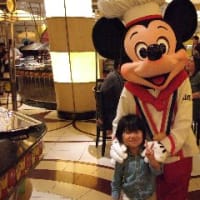 ディズニーランドとシー