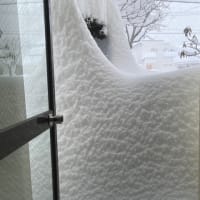 今度は53年ぶりの大雪？？