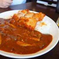 ココイチ香南野市店へ行こう