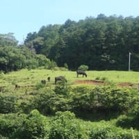 集落点検