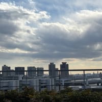 【サ活】東京豊洲 万葉俱楽部