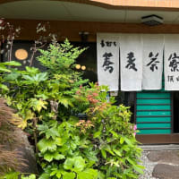 下田　手打ち蕎麦茶寮 須田　おろしそば