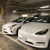 テスラ車の人気の秘密に迫れるか