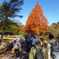 紅葉の希望が丘を巡る〜滋賀県ウォーキング協会例会