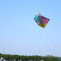 相模の大凧祭り
