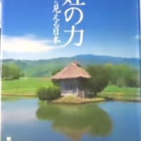 『百姓の力』―江戸時代から見える日本 単行本 – 2008/5/1