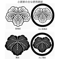 小原姓世帯が旧和賀郡一帯周辺地域（岩手県北上市・花巻市・奥州市・金ケ崎町・秋田県横手市など）にとくに多い理由について