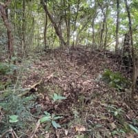 サシヒンヌシーにて戦争遺跡発見か ! ?　～文化財踏査を実施～