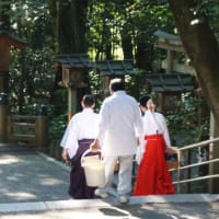 奈良「山野辺の道」歩き②