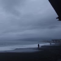 2025/06/25　水　国府津海岸