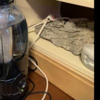 coospider CRH-380B 爬虫類に最適な爬虫類の為の超音波ミスト