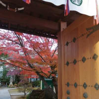 12月だが秋を感じる