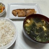 今日から夜勤です…(ヽ´ω`)