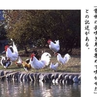 ２０２０年　No.１（3/17）