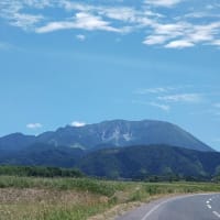 30度を超えました。