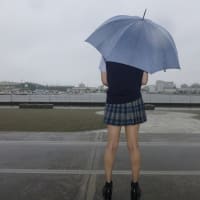 もしかして梅雨が明けた？