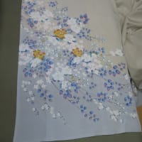 貸衣装訪問着単衣（撥水加工済み）シャンパンしみ　水洗い・しみ抜き　正絹素材
