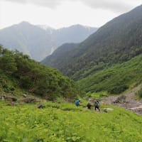 花の北岳　～北岳山頂から下山まで～