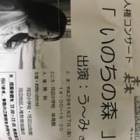 河辺小学校色々