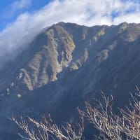 秋の大山