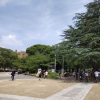 ６月２９日桑名総合運動公園