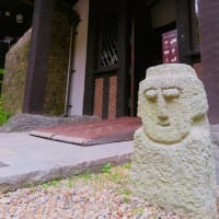 大山崎山荘美術館　～半夏生の咲くころ