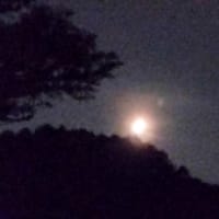 7月4日の月