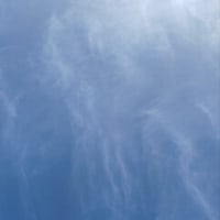 第１１回国際ヨガデー