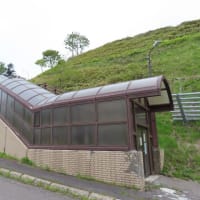 半端じゃない藪こぎ　撤退　羅臼湖へ