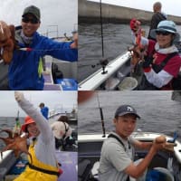 明日はLTアジ船、タチウオ船、マダコ船が出船確定してます