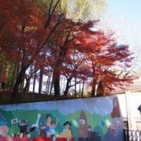市川市自然植物園