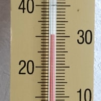 信じてたアイツに騙された（笑）