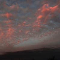 定点撮影　　梅雨のさなかの夕焼け