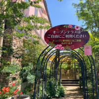 花園フォレストへ🌹