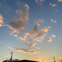 ２０２４年末ですね。