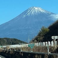 謹賀新年2025！