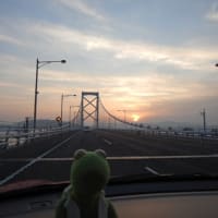 帰るよン！
